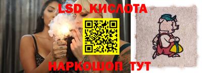 гидропоника Краснознаменск