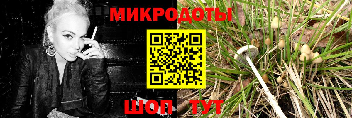 Галлюциногенные грибы мицелий Елизово