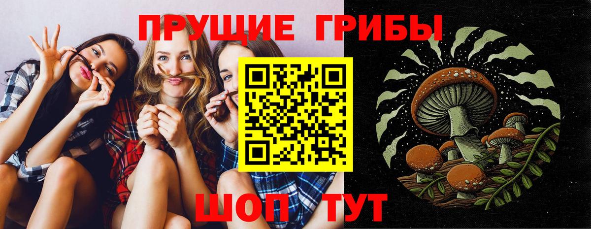 Елизово  Псилоцибиновые грибы Psilocybine cubensis  Псилоцибиновые грибы ЛСД  Вход с VPN 